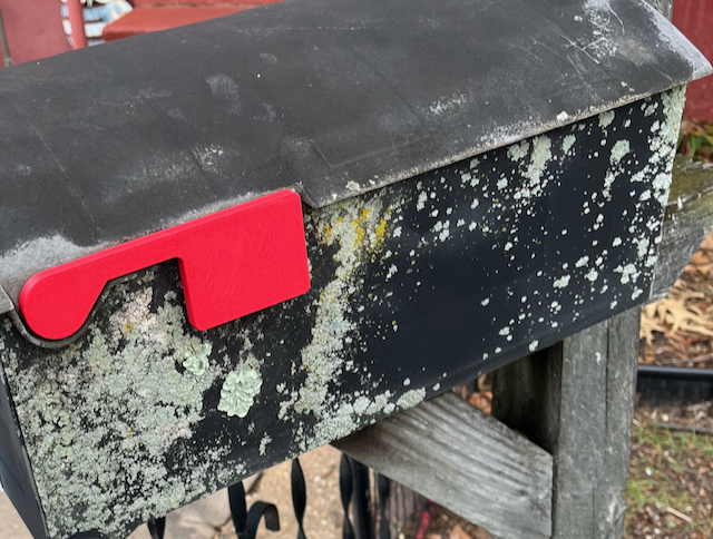 Miniatura 2 do modelo 3D Mailbox Replacement Red Flag