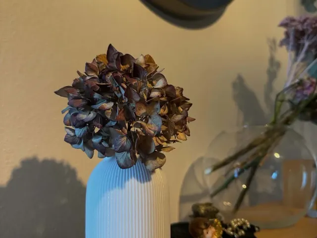 Vase – Minimalist Decor