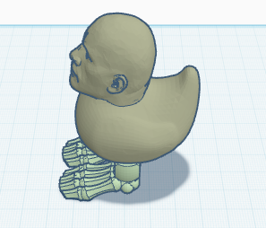 duck