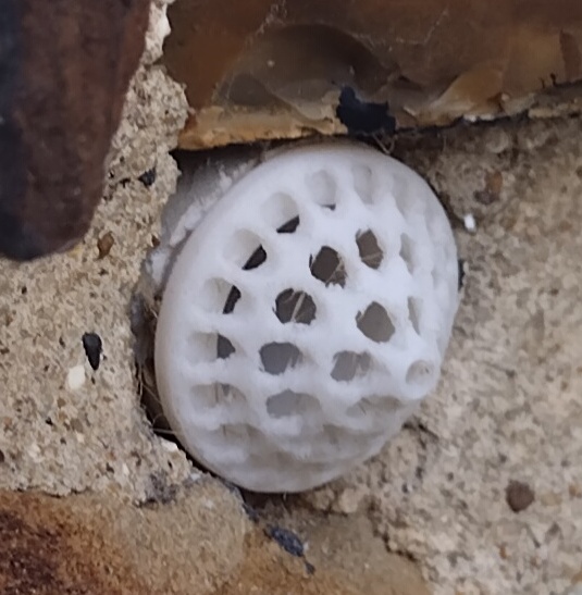 Pipe Plug