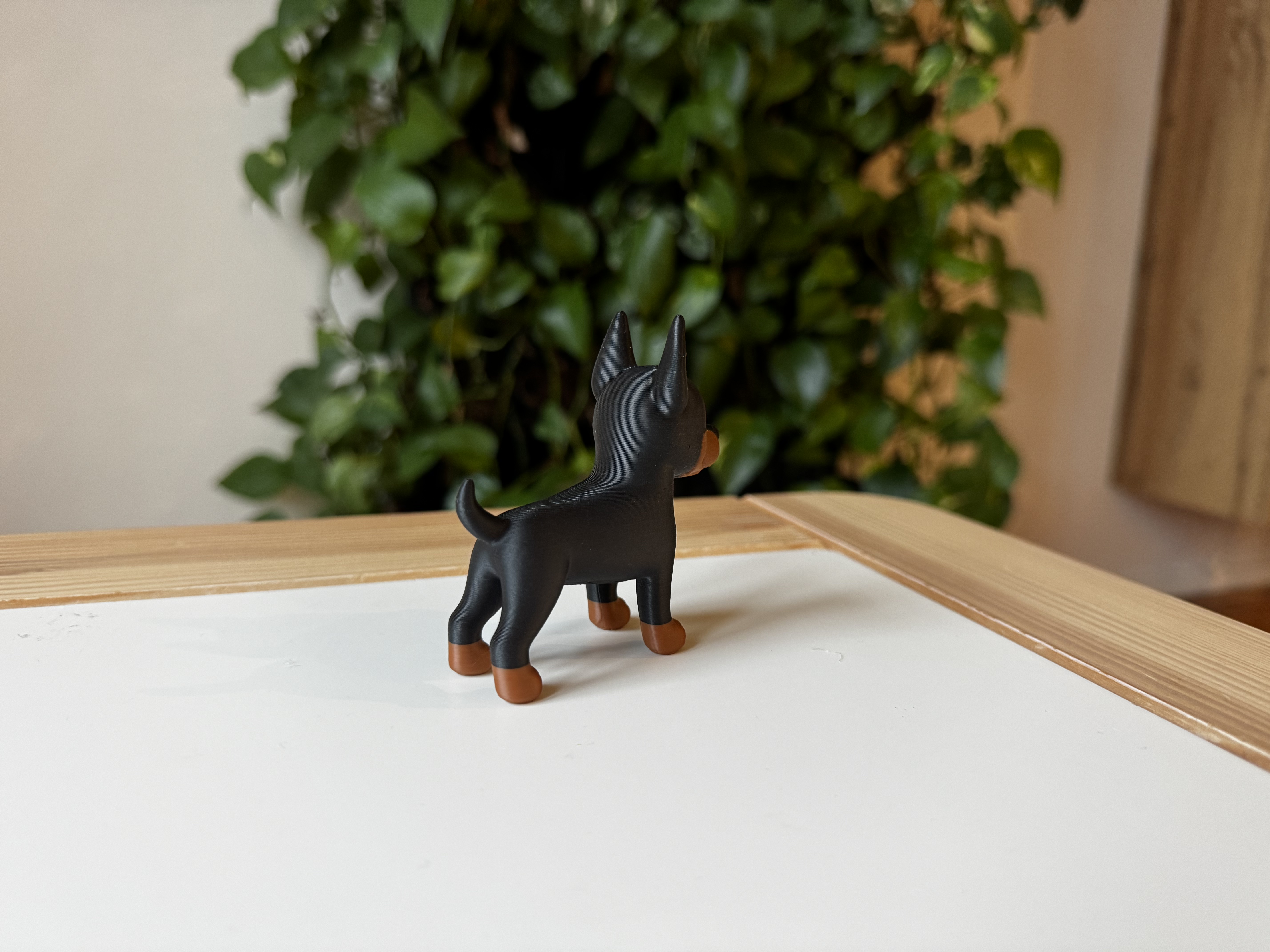 Miniatura 5 do modelo 3D Doberman Pinscher