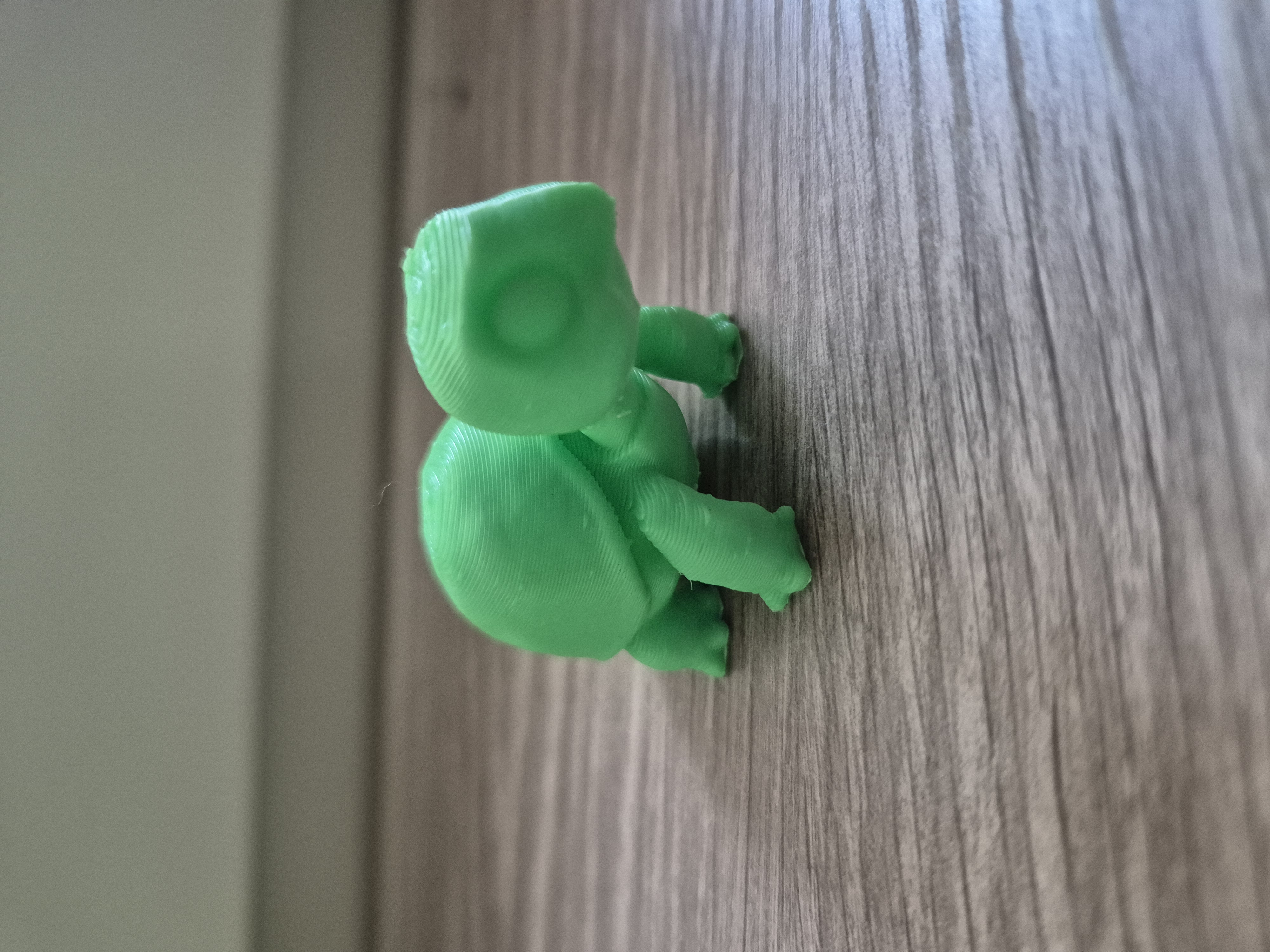Cute Turtle