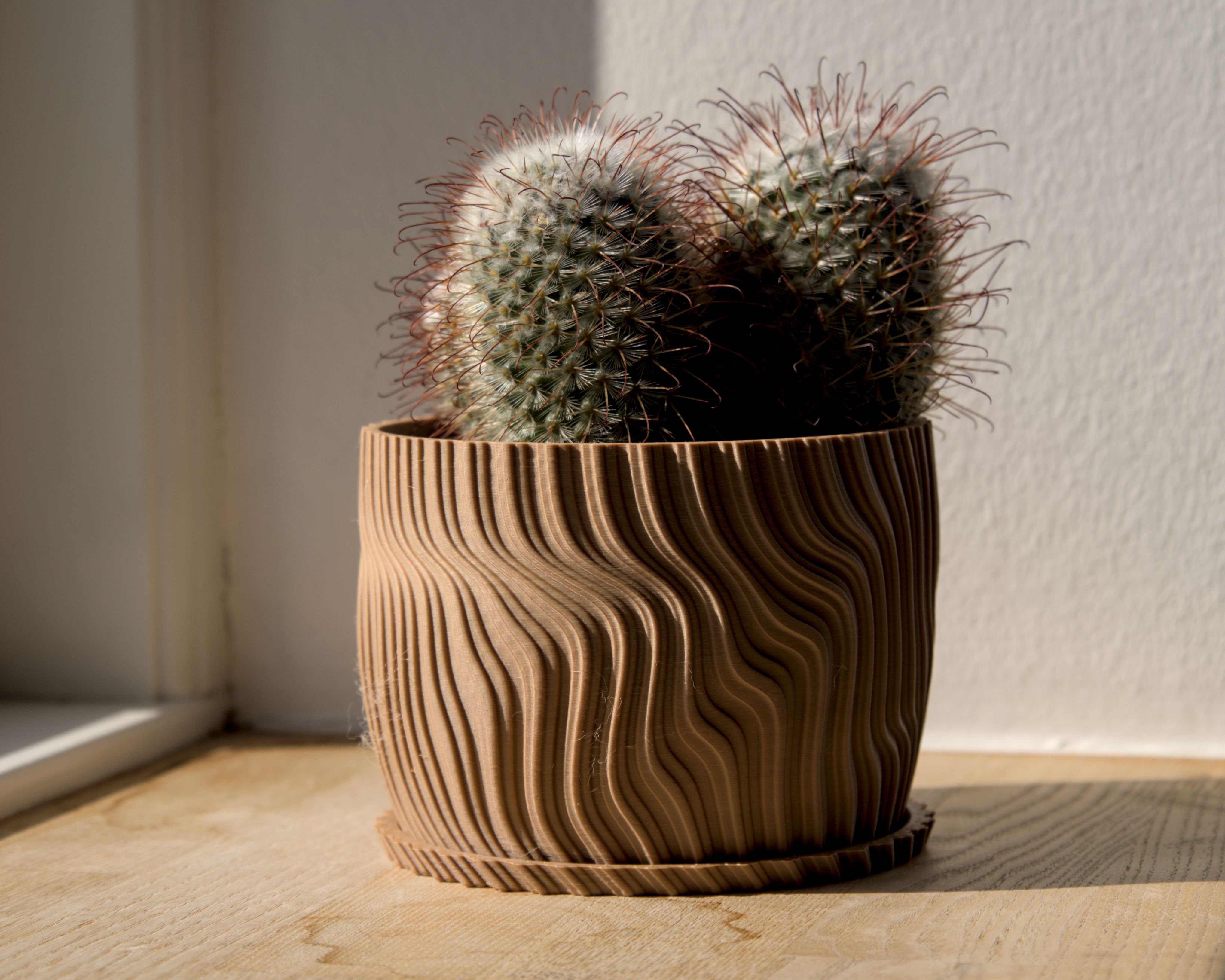 Antelope succulent pot