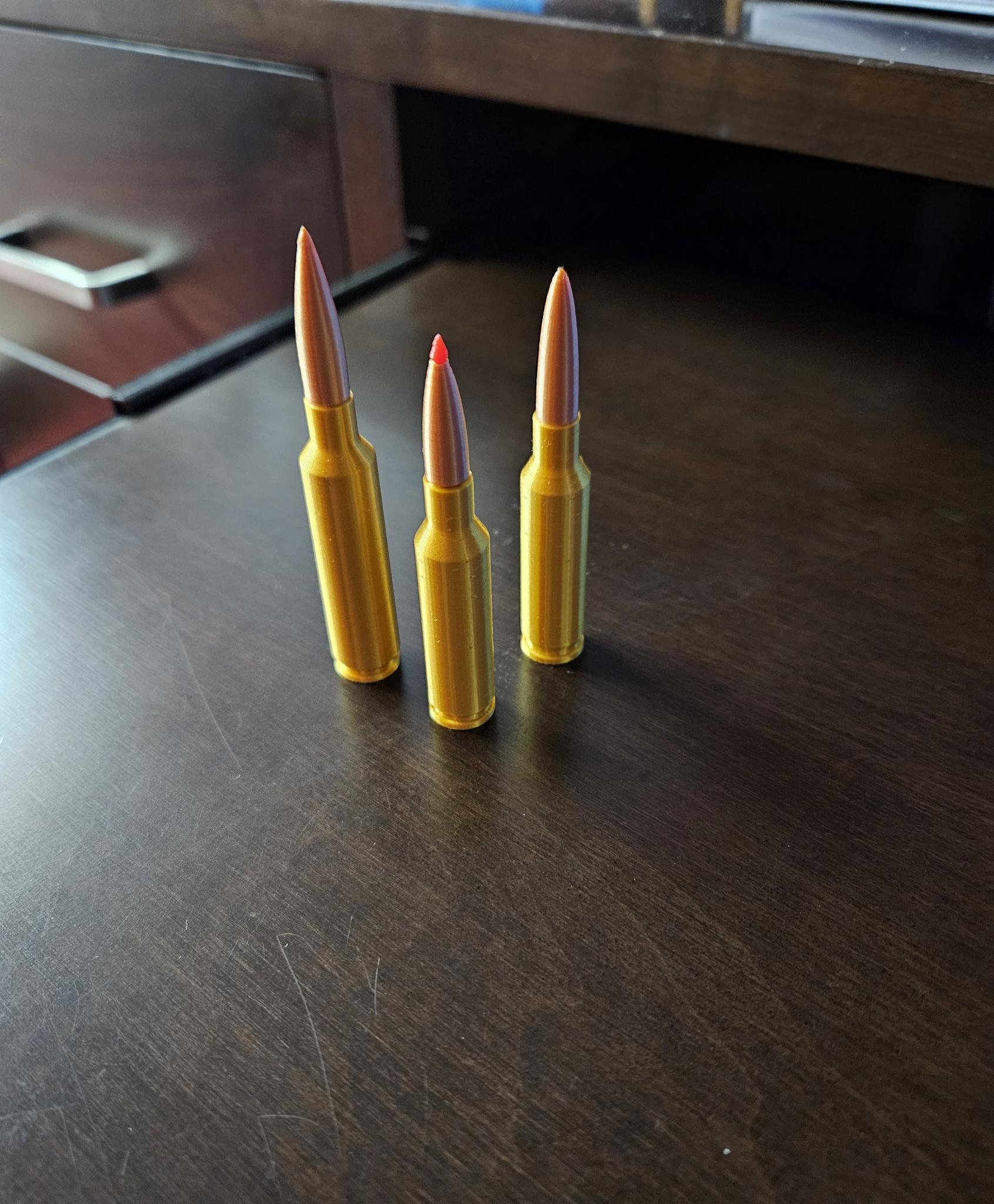 Dummy Rounds - Precision