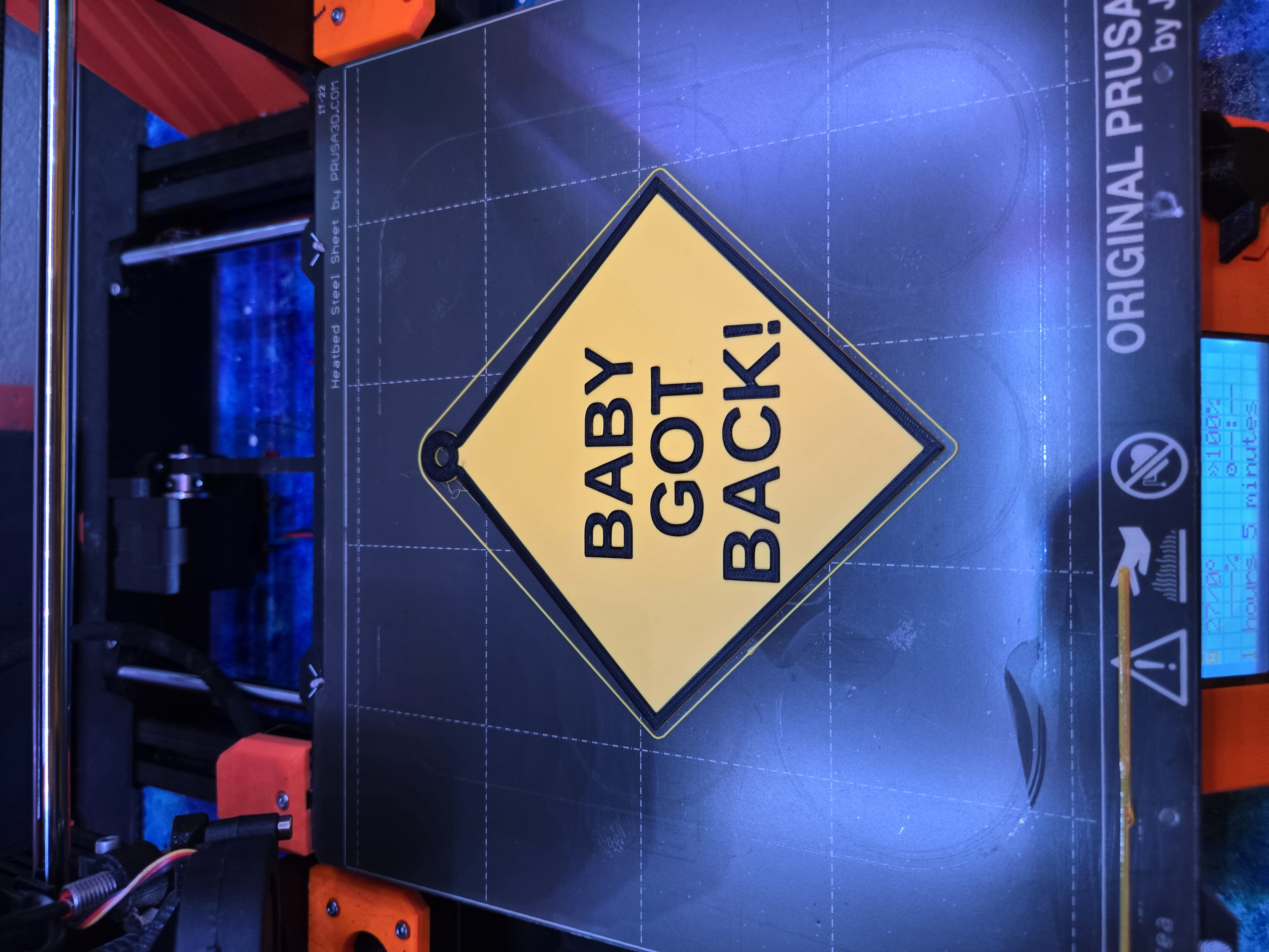 "Baby Got Back" Baby On Board Sign
