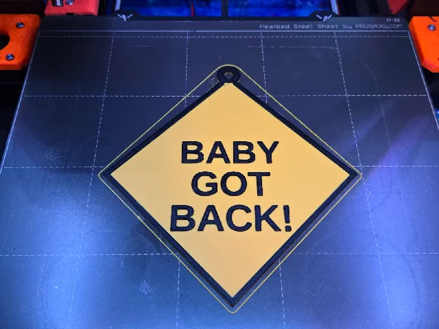 "Baby Got Back" Baby On Board Sign