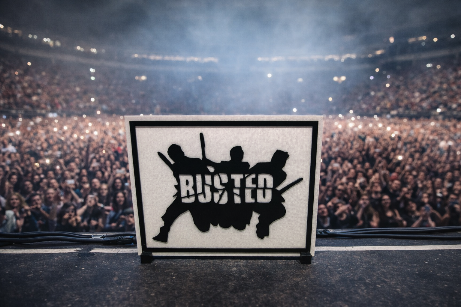 Busted Framed 3D model