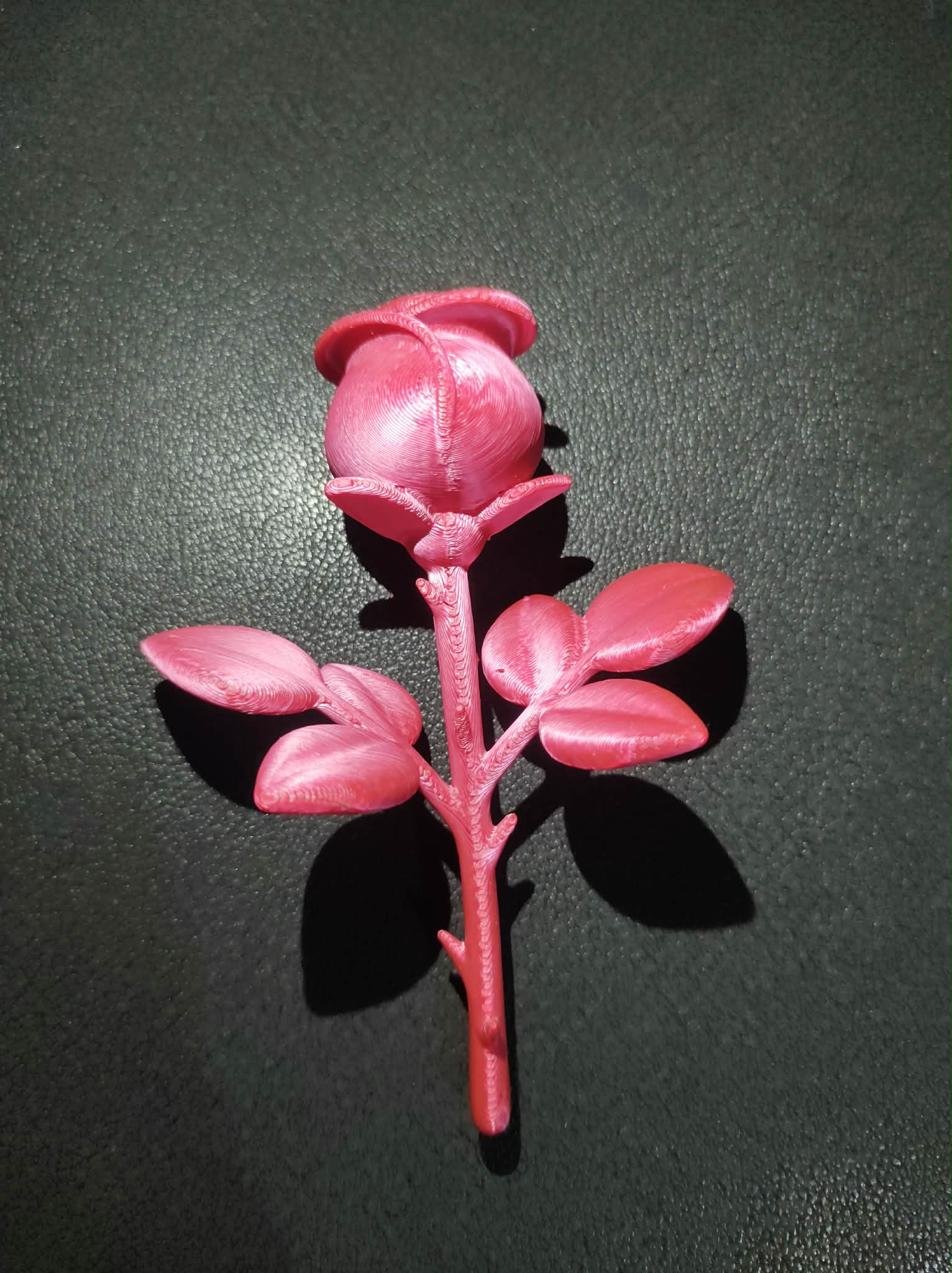 Stylized Rose Stem With Thick Petals Leaves And Bud Detail