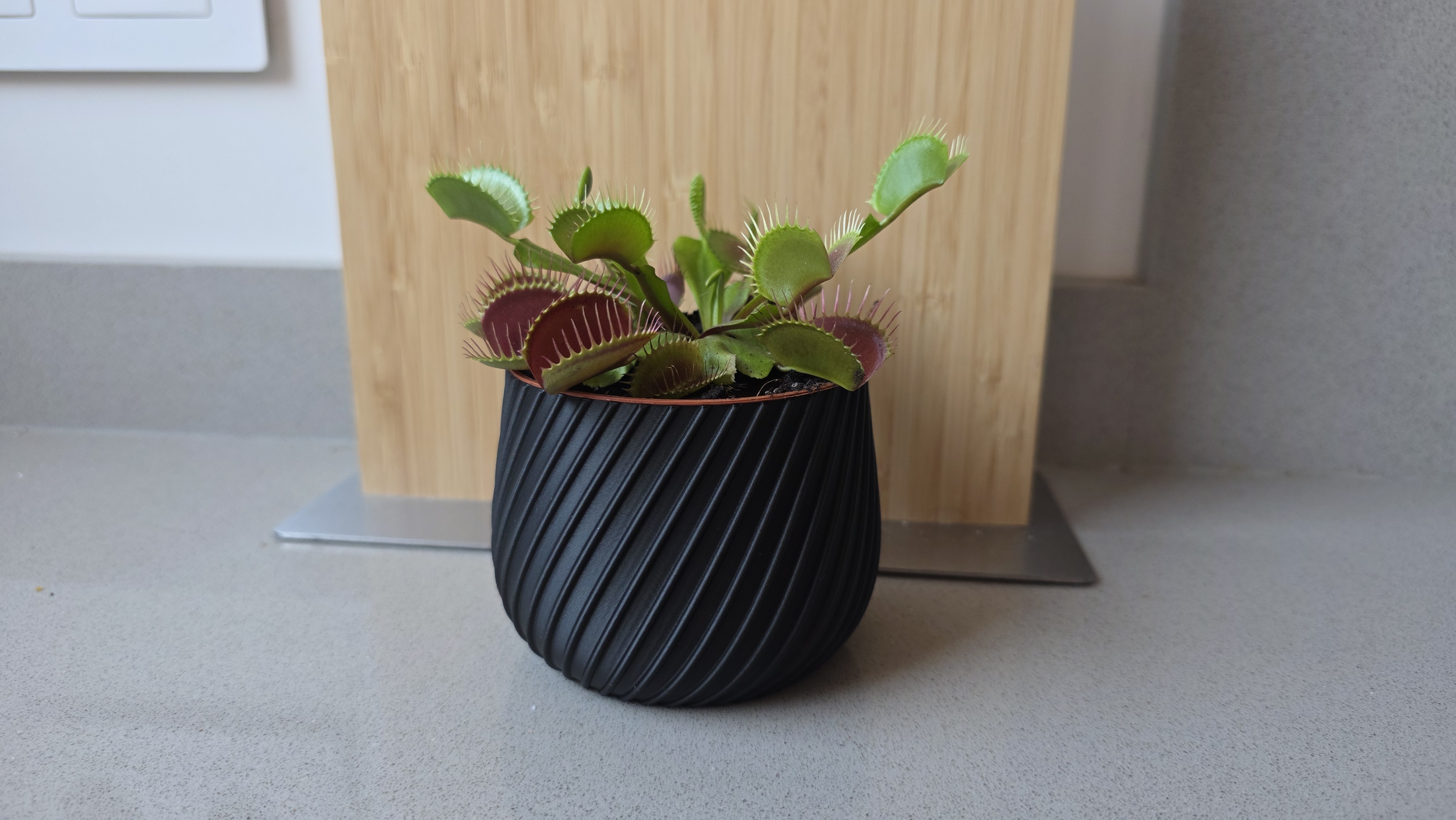 Modern Planter