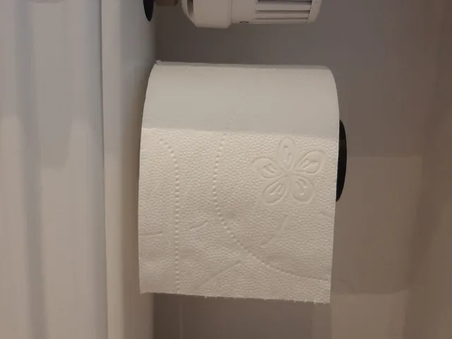 Toilet paper holder