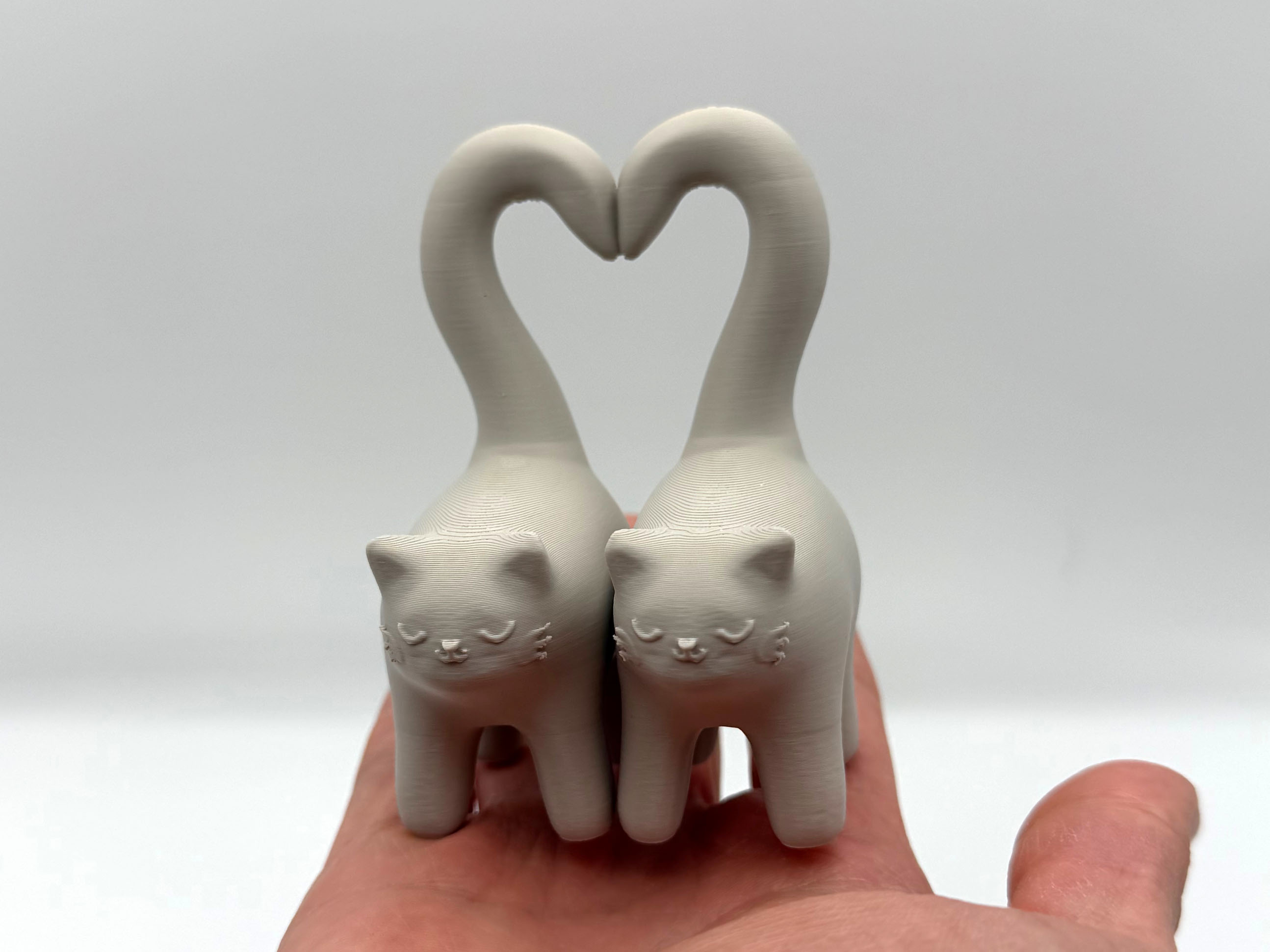 Tail Heart Kittens