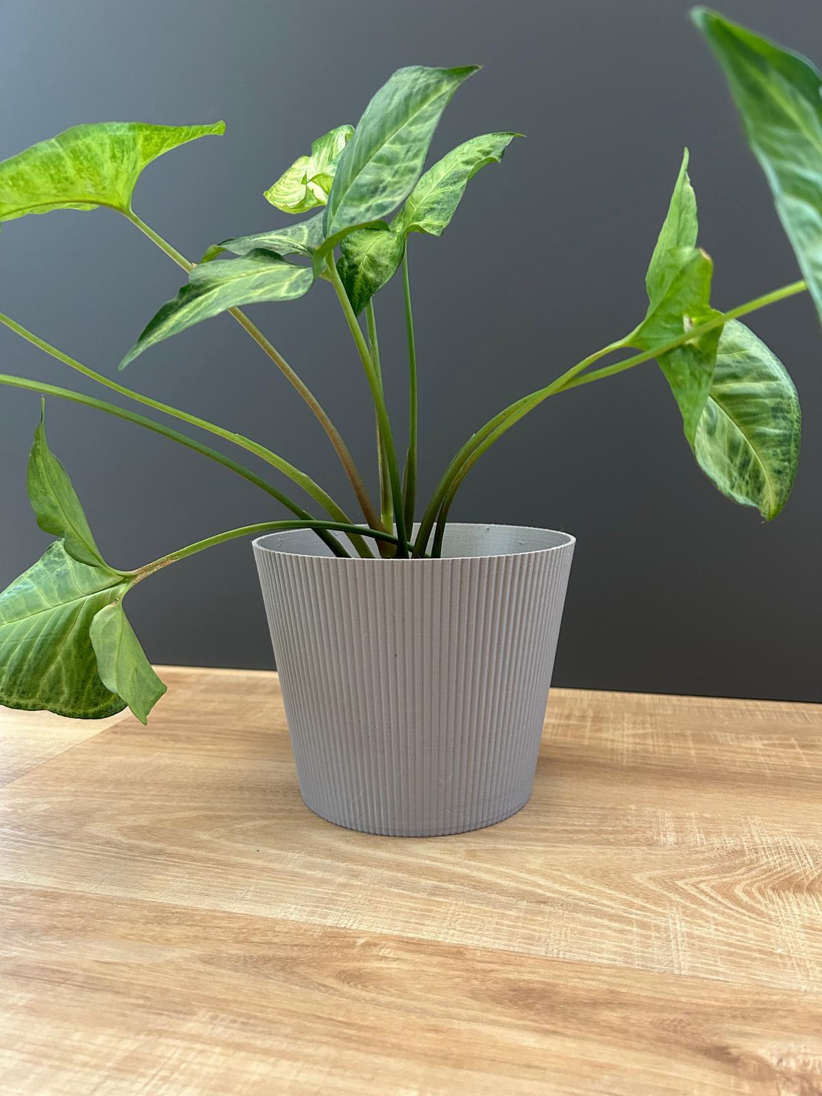 RIBBA – Modern Planter Covers