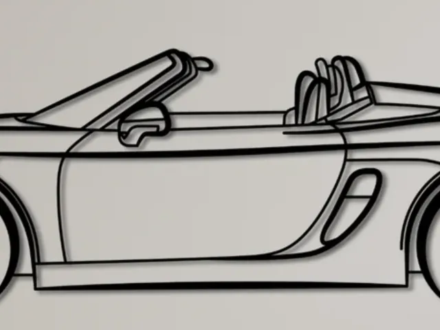 Porsche Boxster 981 Spyder Wall Art