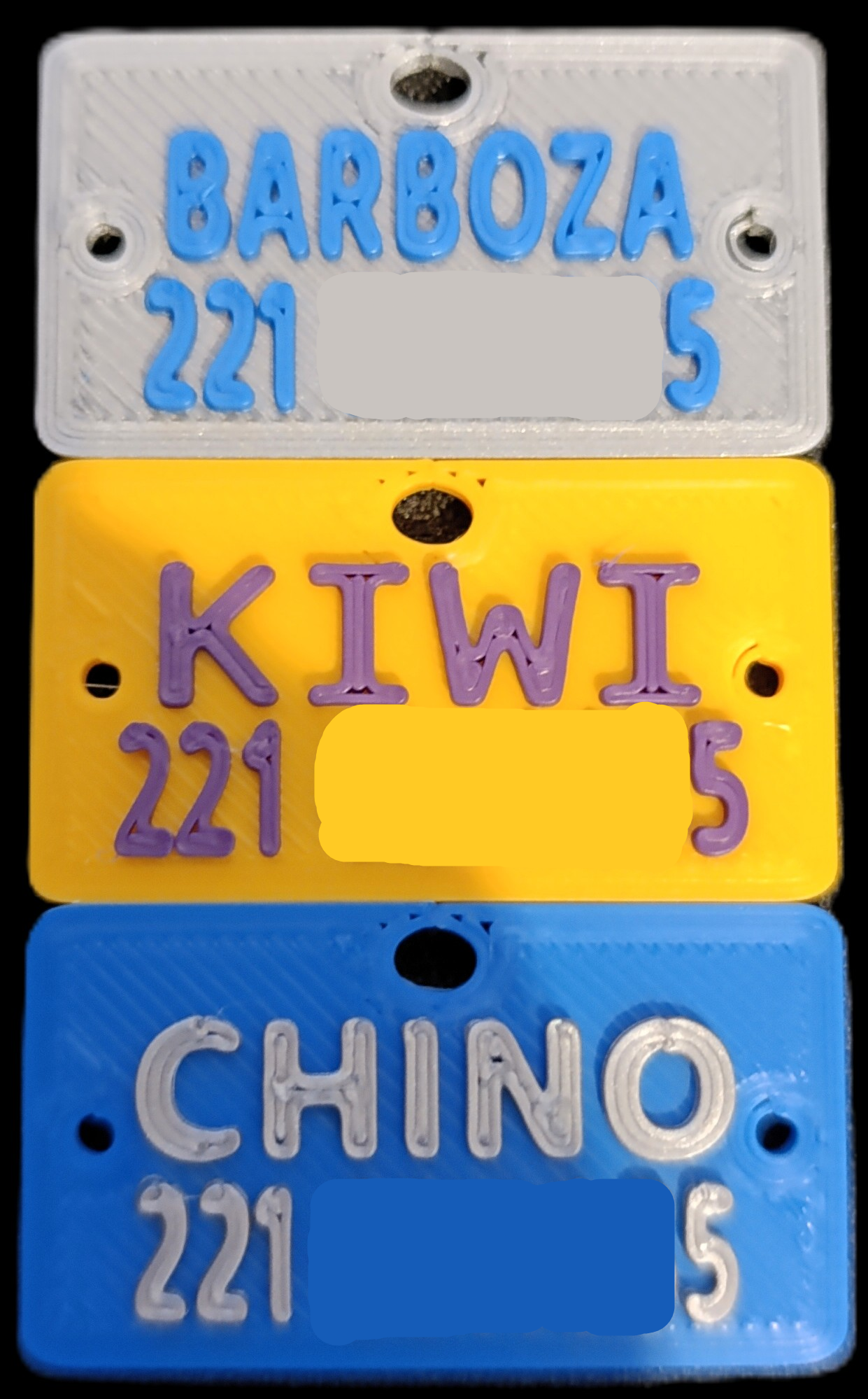 Simple Dog Tag (Name + Phone)