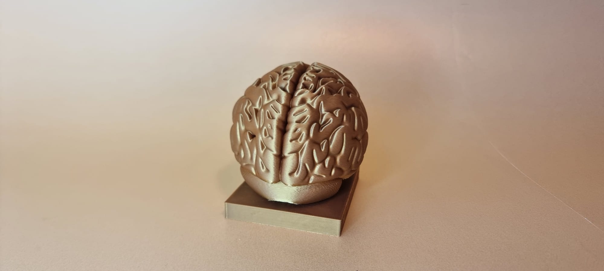 Brain — thumbnail 2