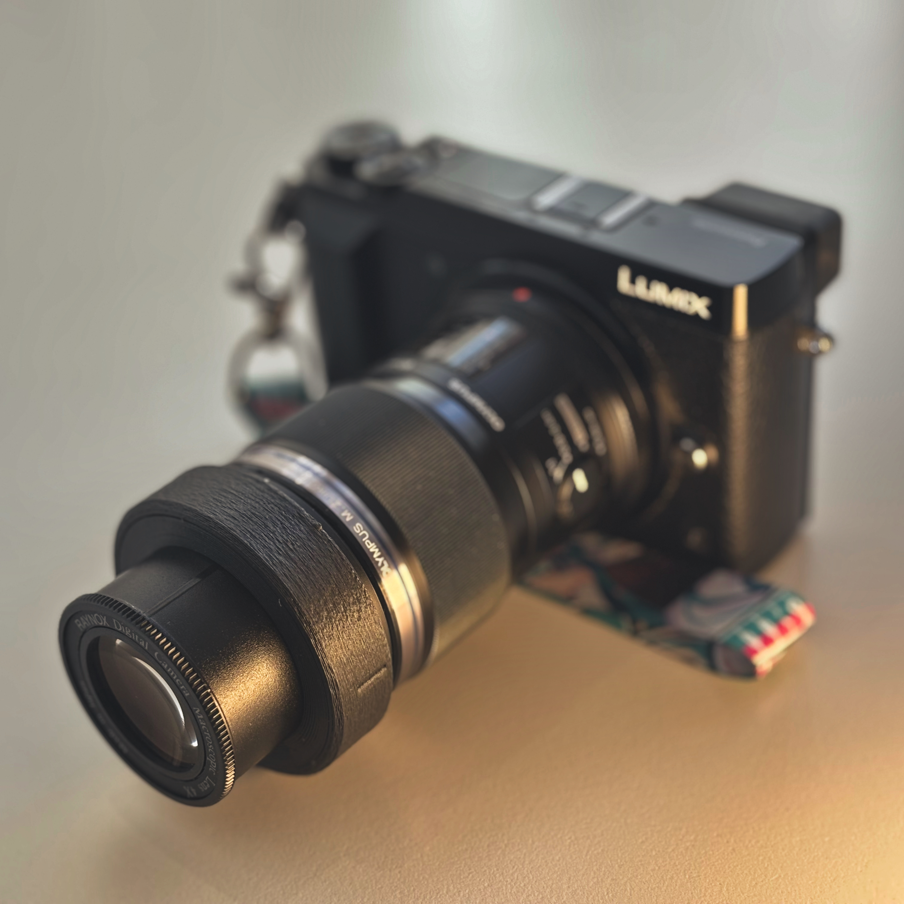 Raynox x Olympus 60mm Lenshood (DCR-250, MSN-202, 60mm f/2.8 Macro)