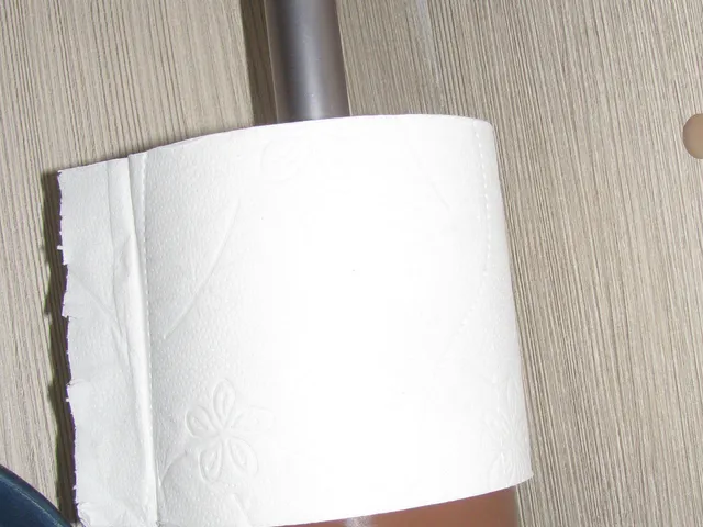 Toilettenpapierhalter