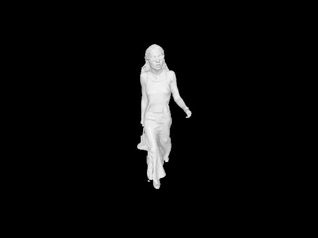 Female Outfit