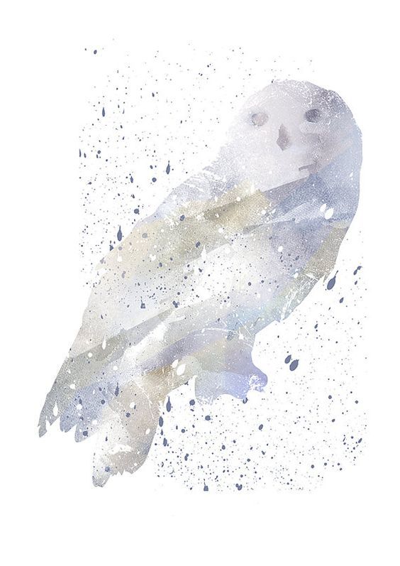 Hedwige – La chouette de Harry Potter (mascotte de Poudlard)
