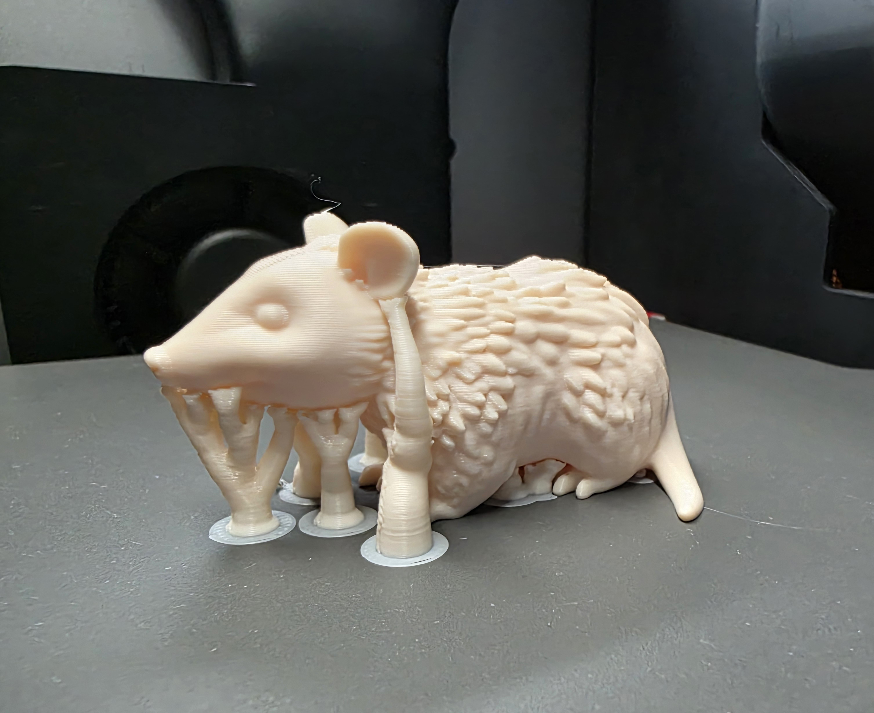 Miniatura 7 do modelo 3D Opossum