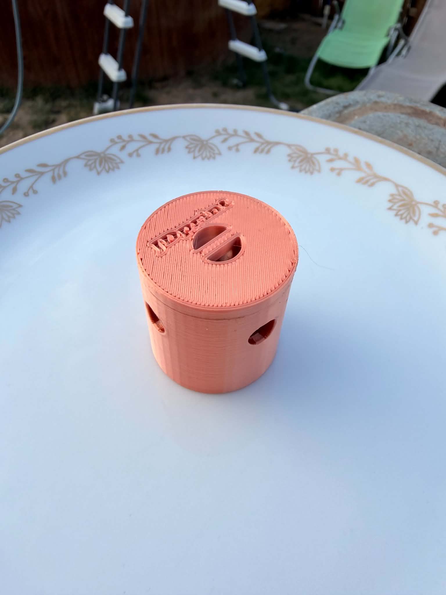 wasp trap