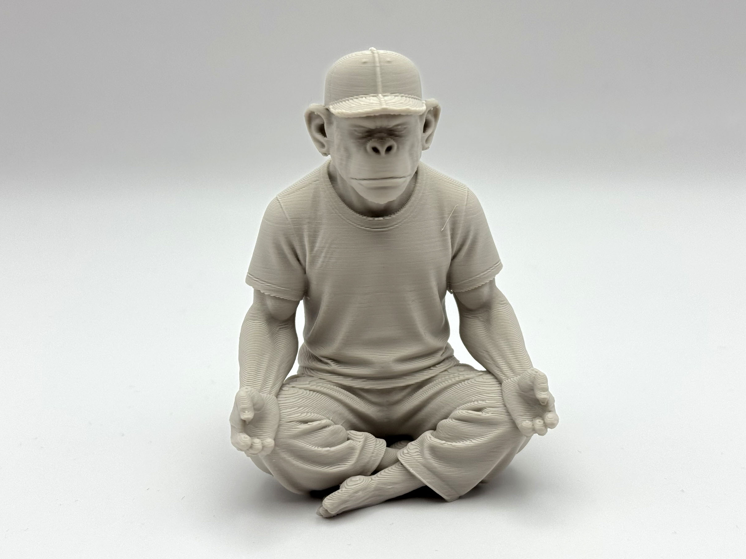 Miniatura 5 do modelo 3D Zen Ape