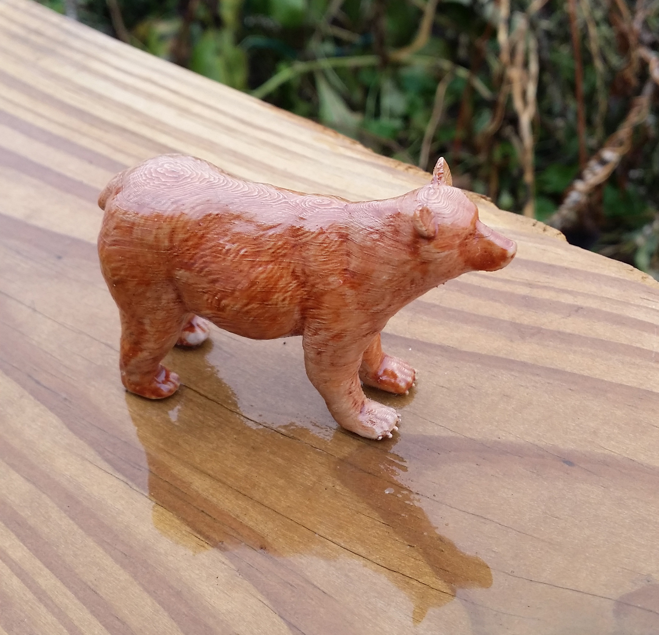 Brown Bear — thumbnail 2