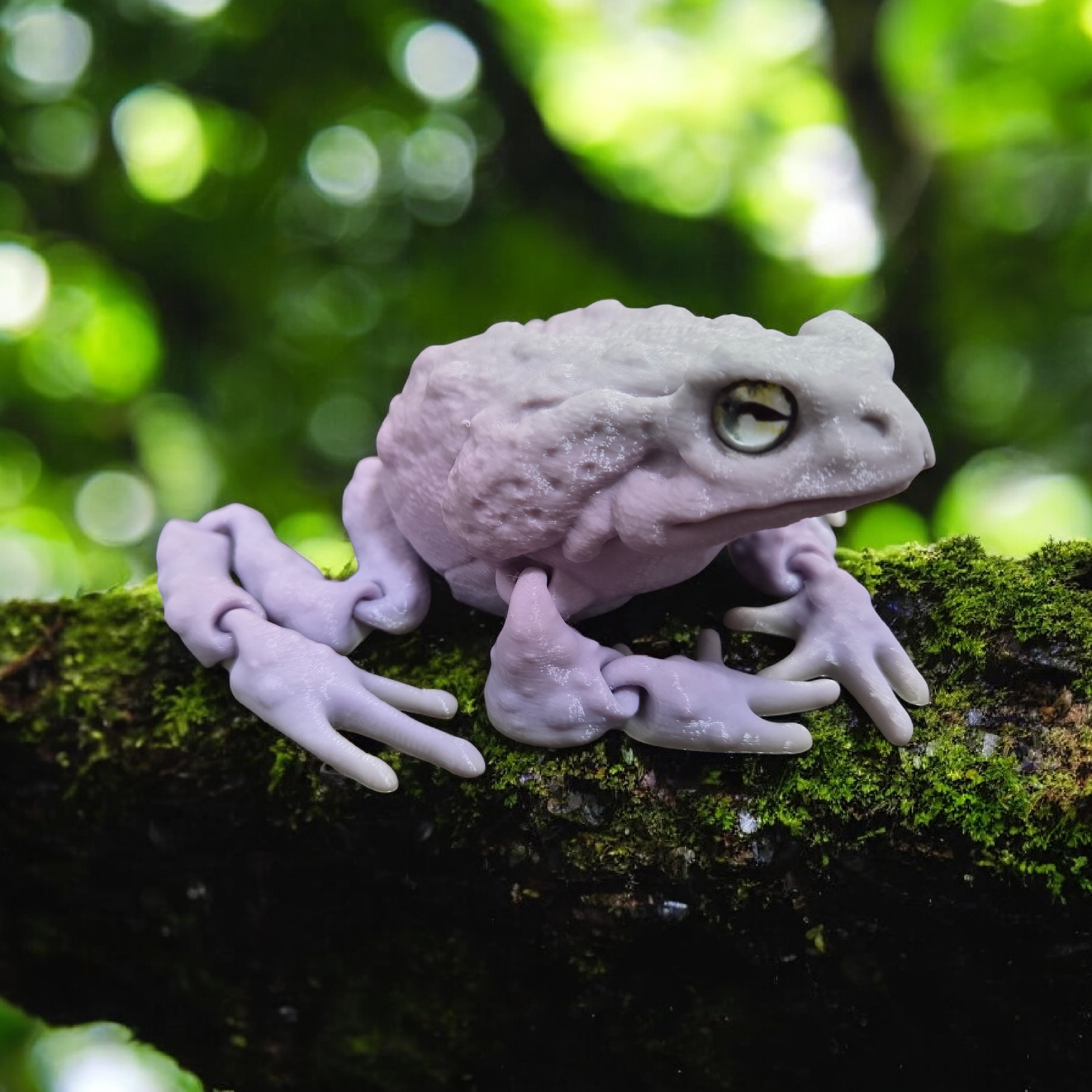 Articulated Flexi Cane Toad - 8mm glass eye compatible