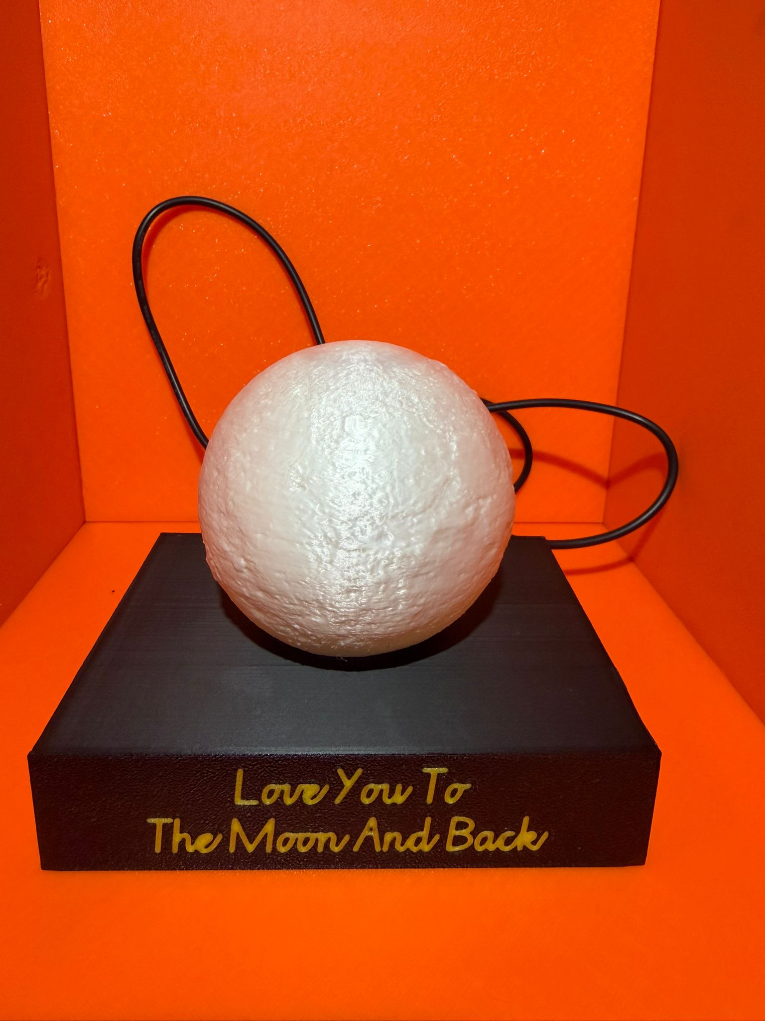 Love you to the moon and back