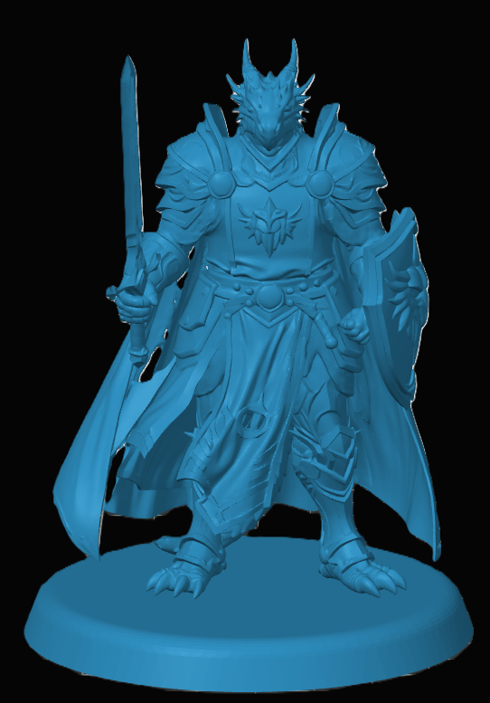Dragonborn Paladin