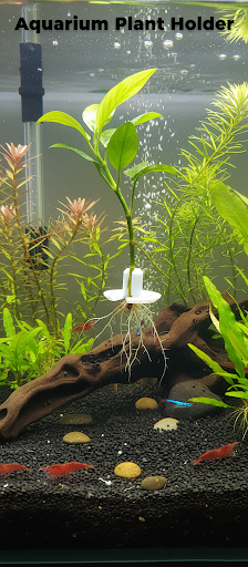 Aquarium Plant Holder
