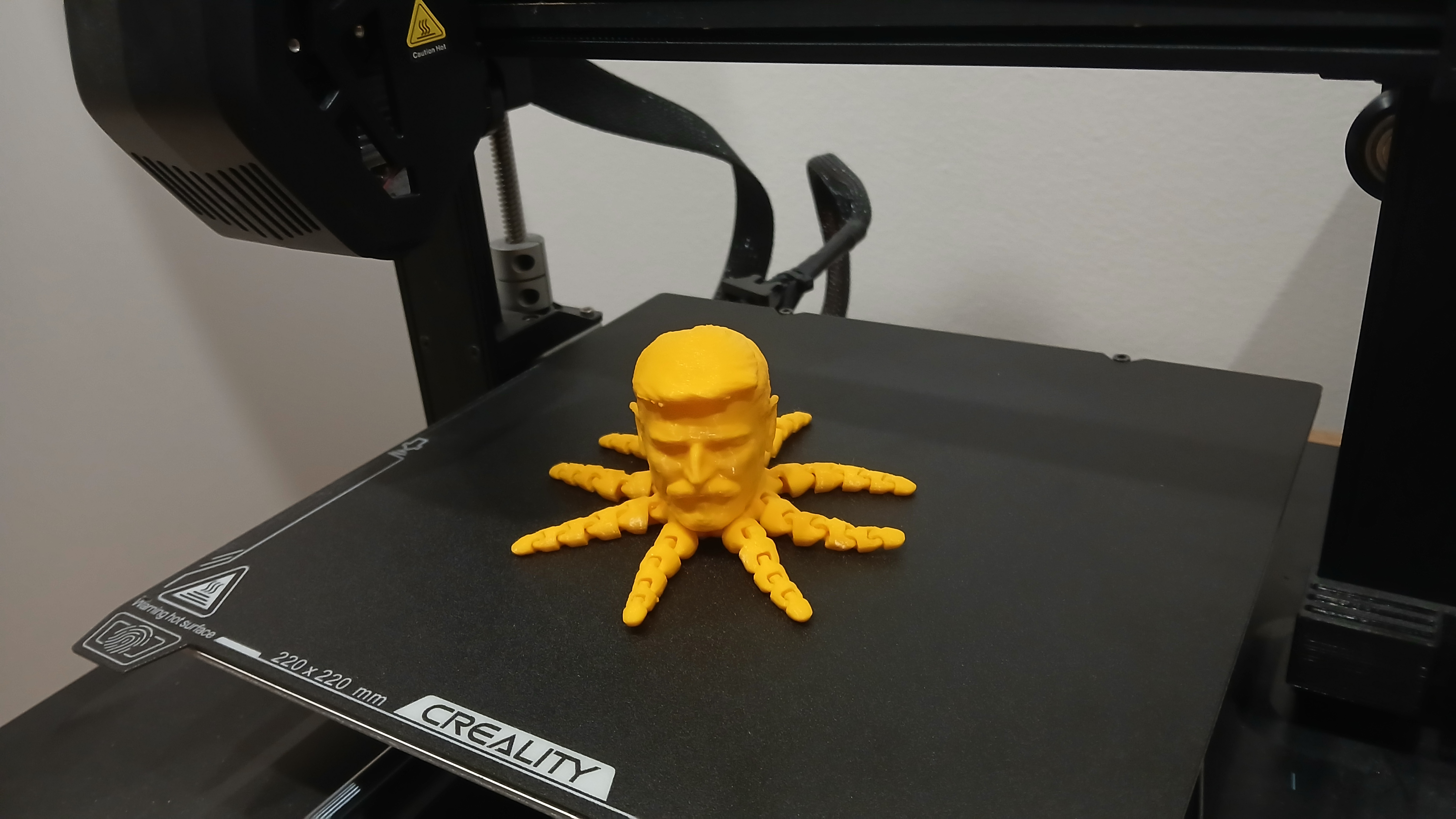 Petroctopus
