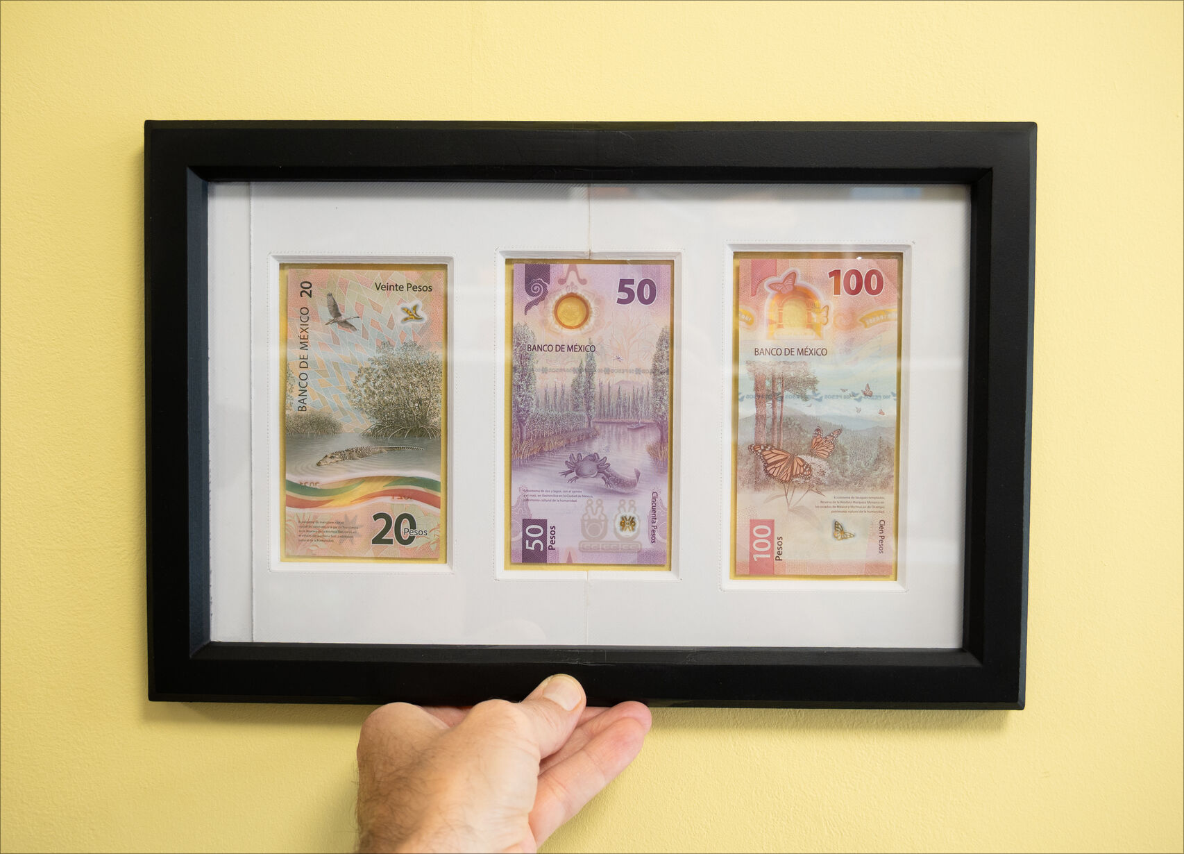 Mexican bank note frame