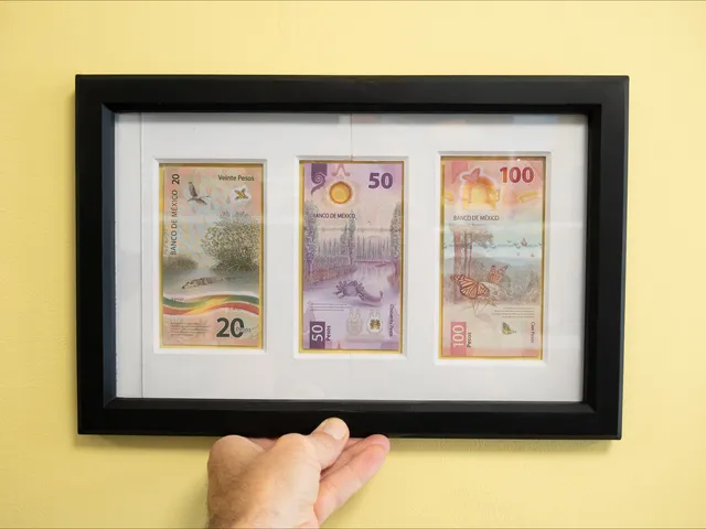 Mexican bank note frame
