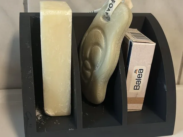 Soap Orginasor
