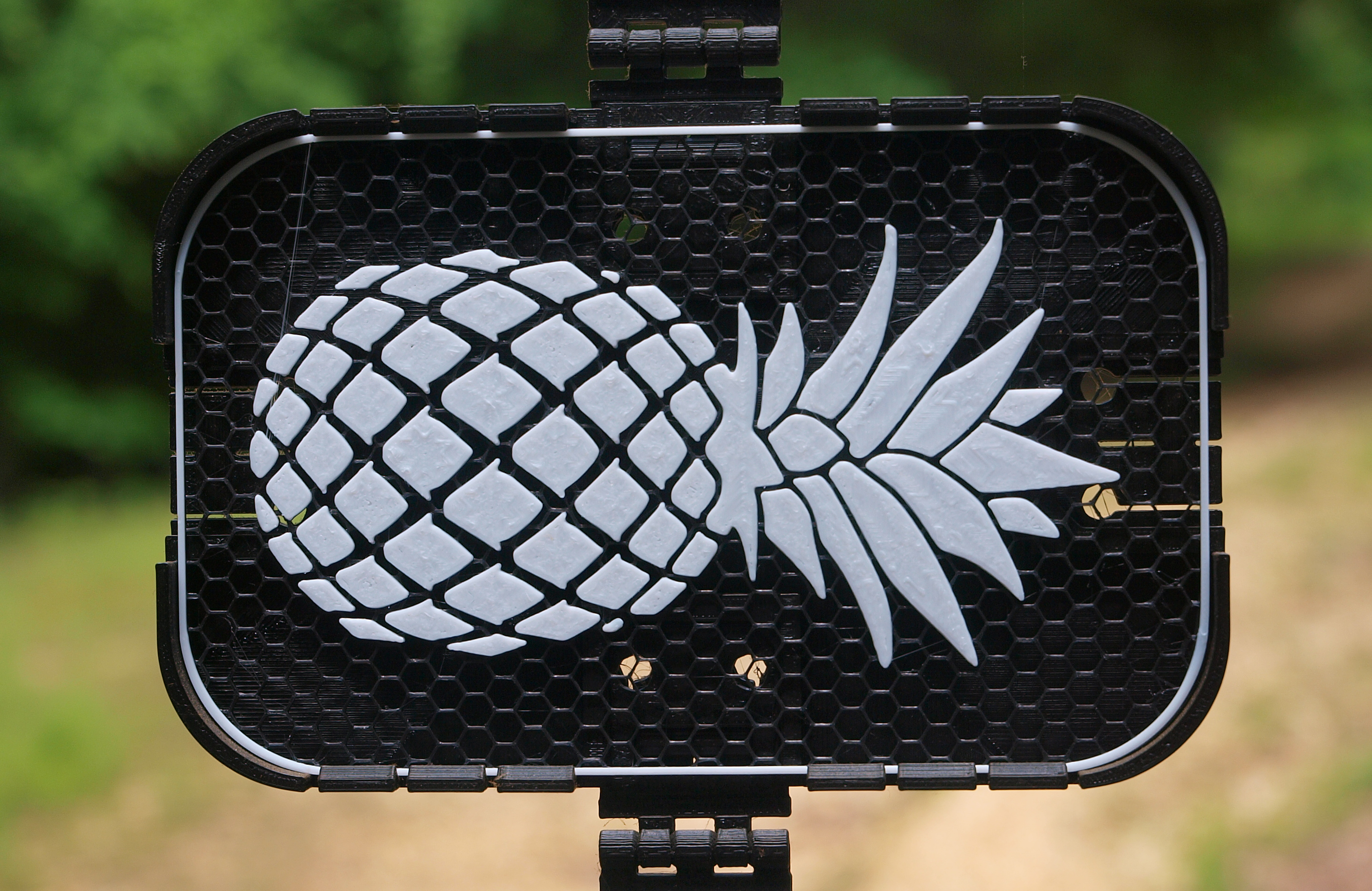 Pineapple sign