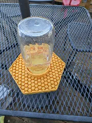screw on bee watering tray for wide or standard mouth mason jar