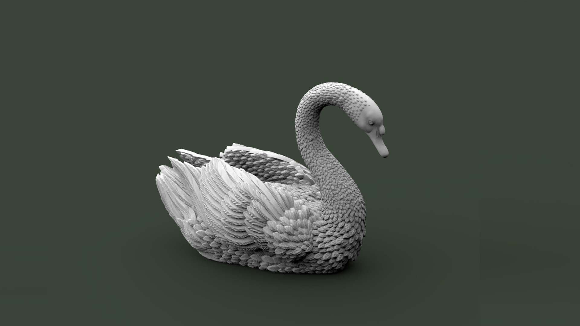 BIRD SWAN — thumbnail 9