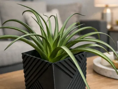 Wall hanging planter rectangular in two sizes