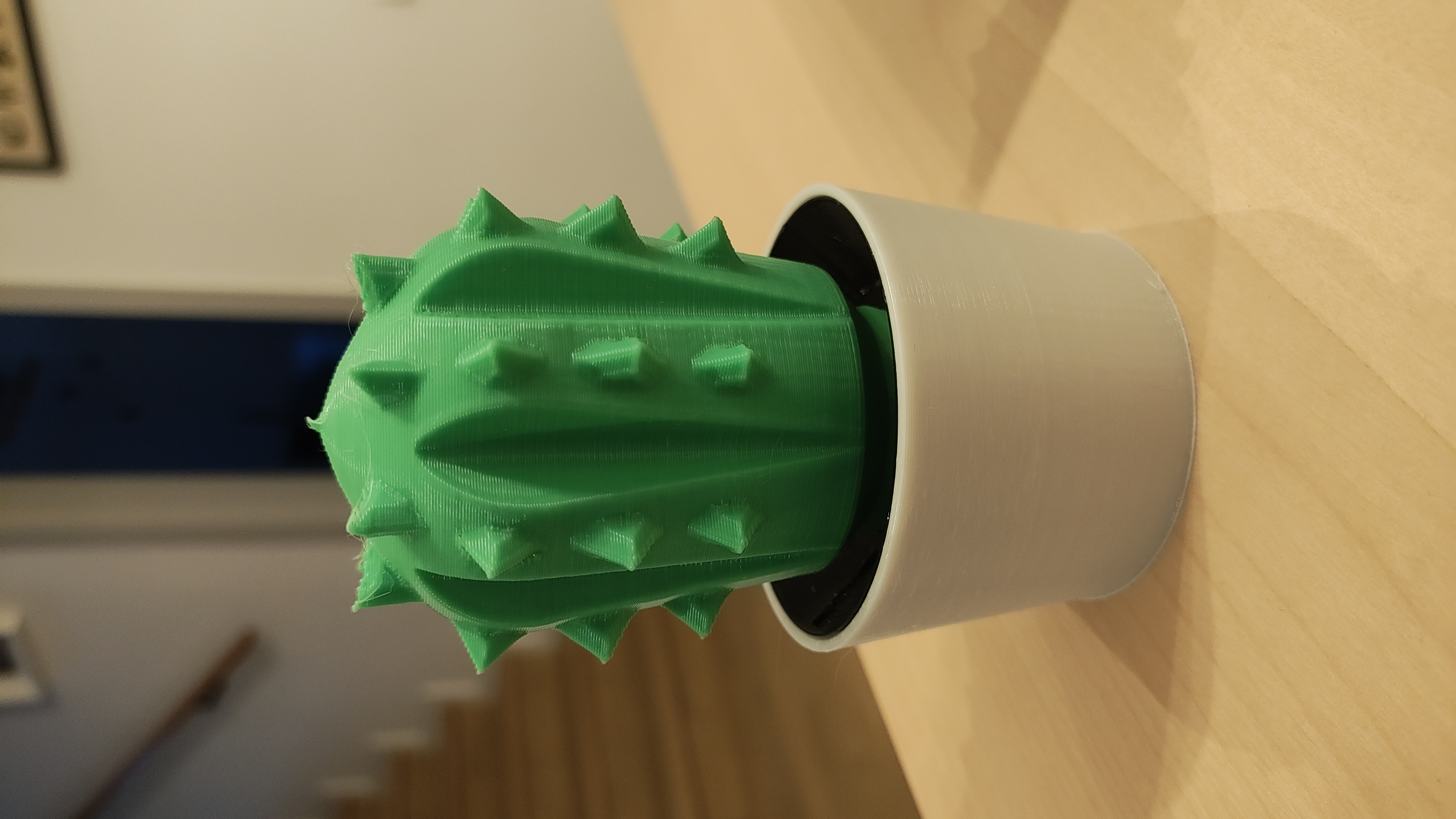 cactus 3D model