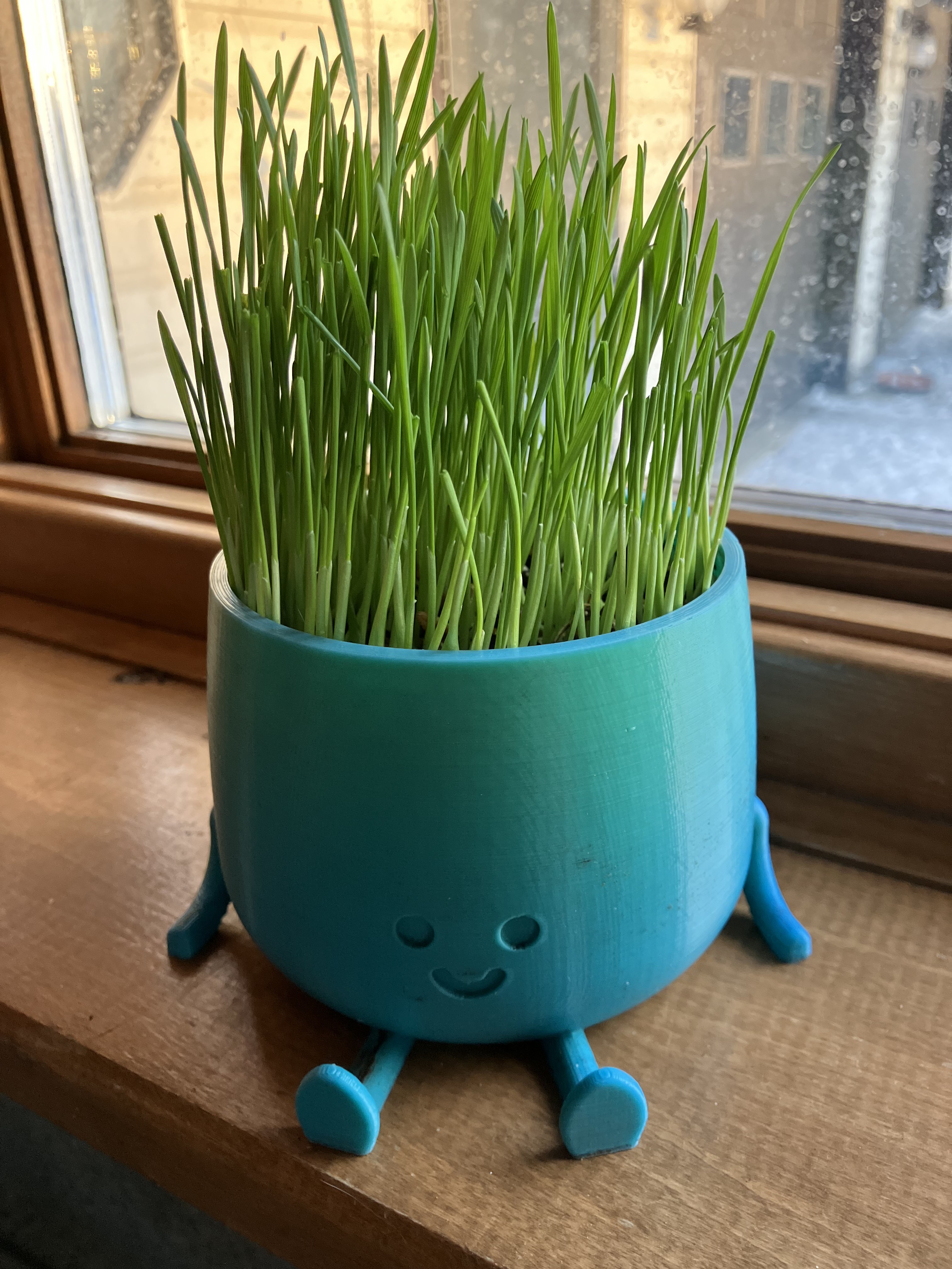 Happy Flower Pot
