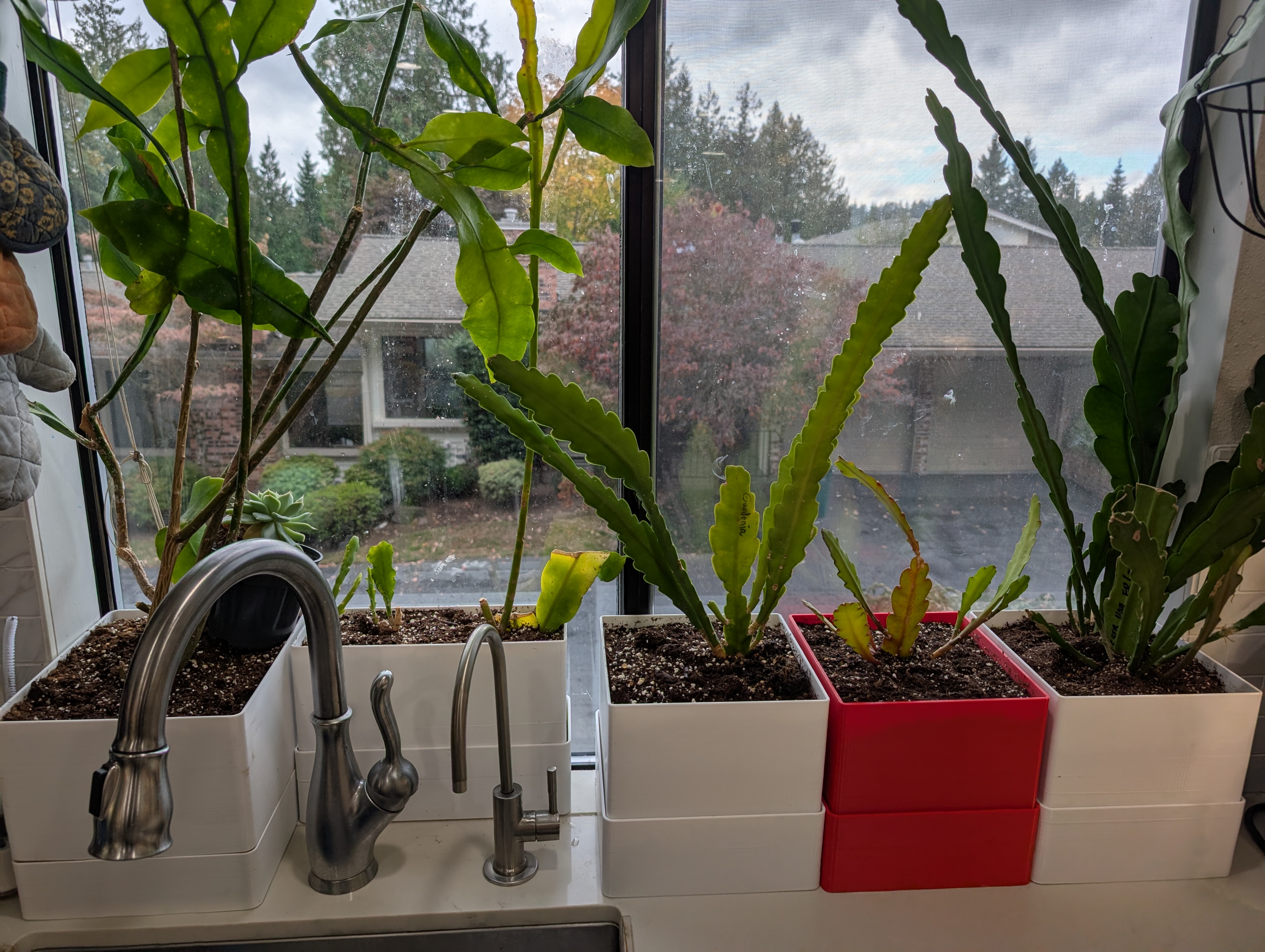 Parametric rectangular planter box with drip tray