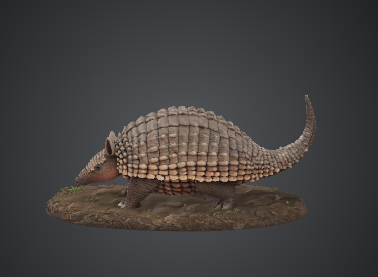 Realistic Armadillo Animal Model — thumbnail 2