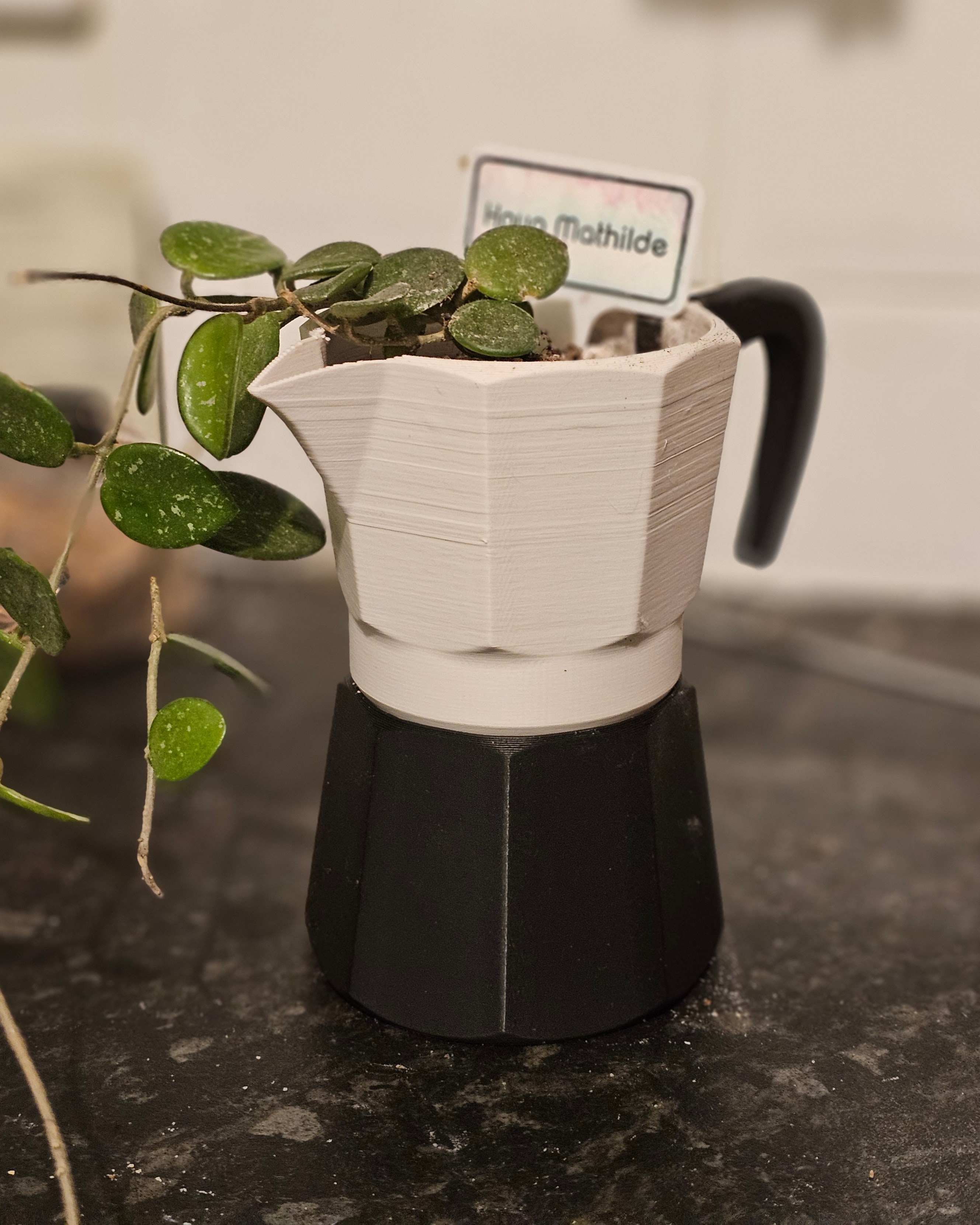 Moka pot planter