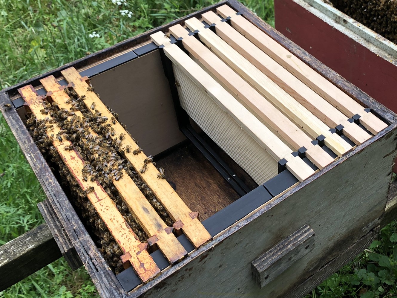 Commercial to National beehive conversion