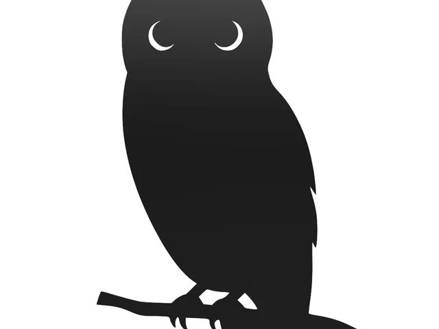 Owl silhouette