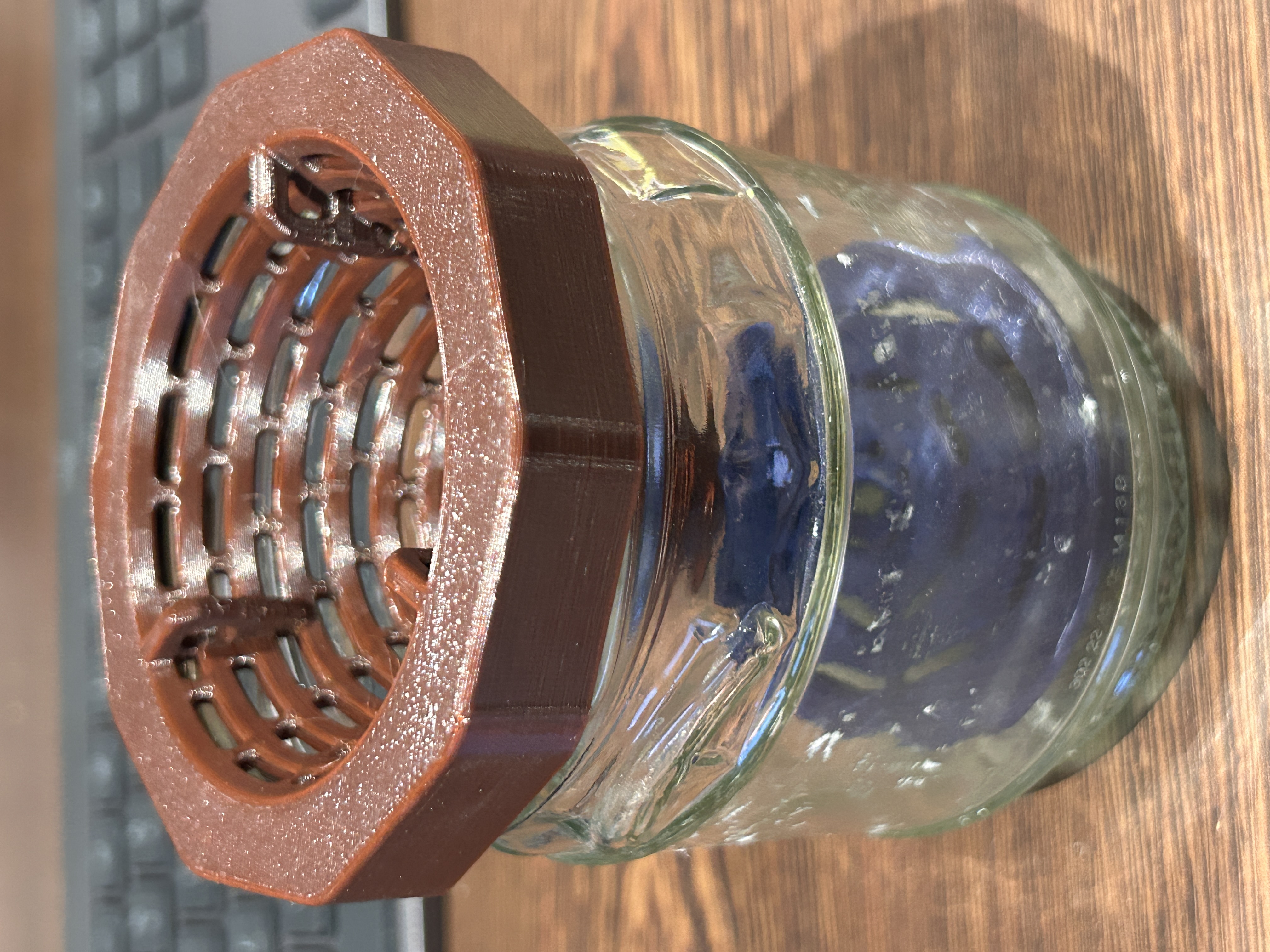Upcycling Wespen- & Fliegenfalle / Upcycled Wasp & Fly Trap