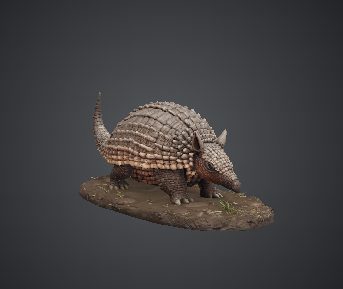 Realistic Armadillo Animal Model