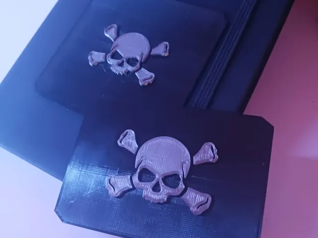 Skull & Bone Plates