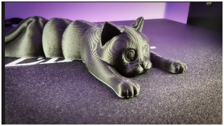 Cat Slinky Fidget